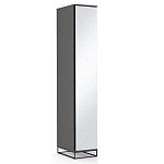 Шкаф-пенал с зеркальной дверцей и фасадом цвета графит Strict Lines варинант исполнения - 2 | Loft Concept в Екатеринбурге