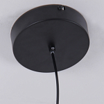 Люстра подвесная светодиодная черный металл Ring Horizontal варинант исполнения - 6 | Loft Concept в Екатеринбурге