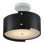 Потолочный светильник круглый светодиодный Semicircular White Panels чёрный варинант исполнения - 2 | Loft Concept в Екатеринбурге