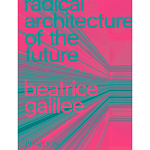 Radical Architecture of the Future варинант исполнения - 1 | Loft Concept в Екатеринбурге