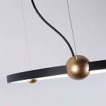 Люстра подвесная светодиодная черный металл Ring Horizontal варинант исполнения - 3 | Loft Concept в Екатеринбурге