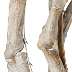 Люстра круглая в виде веток деревьев Natural Driftwood варинант исполнения - 3 | Loft Concept в Екатеринбурге