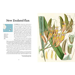 Прекрасно иллюстрированная книга более 100 ботанических произведений Plant Hunters Atlas варинант исполнения - 3 | Loft Concept в Екатеринбурге