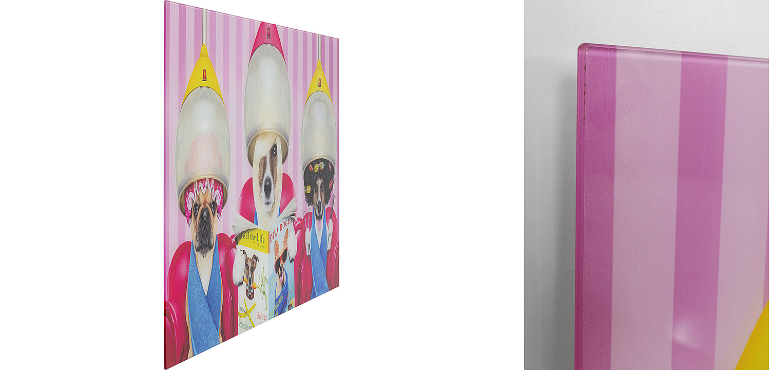 Картина Dogs in a beauty salon  - Loft-Concept в Екатеринбурге