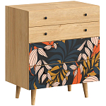 Комод с принтом на ящиках Elise Chest of Drawers варинант исполнения - 2 | Loft Concept в Екатеринбурге