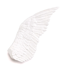 Декоративное панно Seletti Wing Left