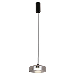 Подвесной светильник Blanton smoky 23 варинант исполнения - 2 | Loft Concept в Екатеринбурге