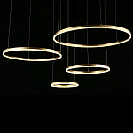 Люстра подвесная светодиодная Jewelry Ring варинант исполнения - 4 | Loft Concept в Екатеринбурге