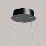 Люстра с прозрачным волнистым плафоном в форме цветка Ethereal Bloom варинант исполнения - 11 | Loft Concept в Екатеринбурге