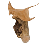 Статуэтка из дерева скат Animals of the World варинант исполнения - 2 | Loft Concept в Екатеринбурге