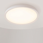 Потолочный светильник Incognito 2700-4000К 46Вт варинант исполнения - 4 | Loft Concept в Екатеринбурге