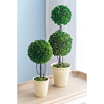 Декоративный искусственное растение Single boxwood варинант исполнения - 9 | Loft Concept в Екатеринбурге