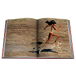 Лимитированная подарочная большая книга CARTIER Panthère варинант исполнения - 12 | Loft Concept в Екатеринбурге