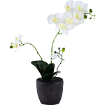 Декоративный искусственное растение Angel Orchid варинант исполнения - 1 | Loft Concept в Екатеринбурге
