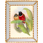 Постер с изображением птиц и цветов в зеркальной раме Blooming Birds Poster варинант исполнения - 6 | Loft Concept в Екатеринбурге