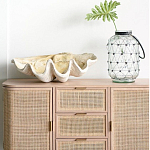 Блюдо декоративное в виде ракушки Seashell варинант исполнения - 1 | Loft Concept в Екатеринбурге