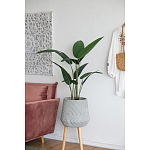 Декоративный искусственное растение Decor Stile  варинант исполнения - 6 | Loft Concept в Екатеринбурге