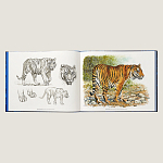 Лимитированная подарочная книга HERMES Fierce and Fragile book, English version варинант исполнения - 2 | Loft Concept в Екатеринбурге