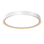 Потолочный светильник Incognito 2700-4000К 46Вт варинант исполнения - 1 | Loft Concept в Екатеринбурге