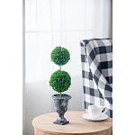 Декоративный искусственное растение Double boxwood варинант исполнения - 5 | Loft Concept в Екатеринбурге