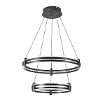 Люстра светодиодная с 2-мя плафонами в форме колец из акрила и алюминия с пультом для регулировки света Ring Horizontal Black варинант исполнения - 4 | Loft Concept в Екатеринбурге