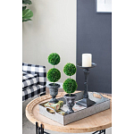 Декоративный искусственное растение Double boxwood варинант исполнения - 8 | Loft Concept в Екатеринбурге