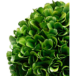 Декоративный искусственное растение Single boxwood варинант исполнения - 2 | Loft Concept в Екатеринбурге