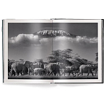 Книга Beusker. Look into my Eyes варинант исполнения - 2 | Loft Concept в Екатеринбурге