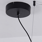 Люстра подвесная светодиодная черный металл Ring Horizontal варинант исполнения - 13 | Loft Concept в Екатеринбурге