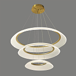 Люстра подвесная с 3-мя кольцевыми светодиодными лампами Catcher варинант исполнения - 1 | Loft Concept в Екатеринбурге