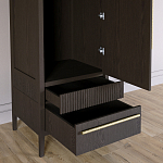 Узкий Шкаф Primo с 2 выдвижными ящиками Темный орех варинант исполнения - 5 | Loft Concept в Екатеринбурге