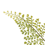 Декоративный искусственное растение Dried flower варинант исполнения - 3 | Loft Concept в Екатеринбурге