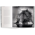 Книга Beusker. Look into my Eyes варинант исполнения - 3 | Loft Concept в Екатеринбурге