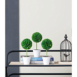 Декоративный искусственное растение Boxwood One варинант исполнения - 9 | Loft Concept в Екатеринбурге