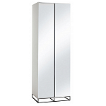 Двухдверный шкаф с зеркальными дверцами Strict Lines варинант исполнения - 5 | Loft Concept в Екатеринбурге