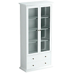 Шкаф-витрина Droletina варинант исполнения - 1 | Loft Concept в Екатеринбурге