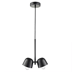 Подвесной светильник черный с 2-мя плафонами Pendant lamp Black варинант исполнения - 1 | Loft Concept в Екатеринбурге