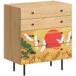 Комод с принтом на ящиках Elise Chest of Drawers варинант исполнения - 4 | Loft Concept в Екатеринбурге