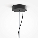 Подвесной светильник Rare grapes варинант исполнения - 4 | Loft Concept в Екатеринбурге