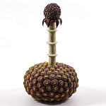 Статуэтка тропический фрукт Pandora Tropical Fruit Brown варинант исполнения - 2 | Loft Concept в Екатеринбурге