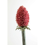 Статуэтка тропический фрукт Pandora Tropical Fruit Orange Red Round варинант исполнения - 3 | Loft Concept в Екатеринбурге