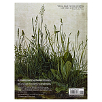 Самая полная история искусства на английском языке  A World History of Art, Revised 7th ed.: Revised 7th Edition варинант исполнения - 2 | Loft Concept в Екатеринбурге