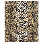 Редкое коллекционное издание Casa Cavalli Home: Celebrating the Roberto Cavalli Lifestyle Леопард варинант исполнения - 1 | Loft Concept в Екатеринбурге