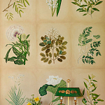 Обои ручная роспись Botanical Studies Linnaeus colourway варинант исполнения - 3 | Loft Concept в Екатеринбурге