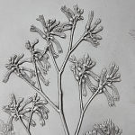 Панно Лесной цветок варинант исполнения - 4 | Loft Concept в Екатеринбурге