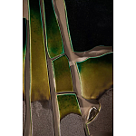 Панно «Амазония» варинант исполнения - 3 | Loft Concept в Екатеринбурге