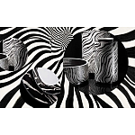 Редкое коллекционное издание Casa Cavalli Home: Celebrating the Roberto Cavalli Lifestyle Зебра варинант исполнения - 4 | Loft Concept в Екатеринбурге