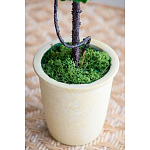 Декоративный искусственное растение Single boxwood варинант исполнения - 6 | Loft Concept в Екатеринбурге