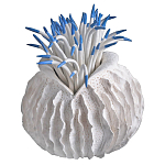 Статуэтка тропический фрукт Tropical Fruit White Blue варинант исполнения - 2 | Loft Concept в Екатеринбурге