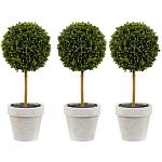 Декоративный искусственное растение Boxwood One варинант исполнения - 1 | Loft Concept в Екатеринбурге